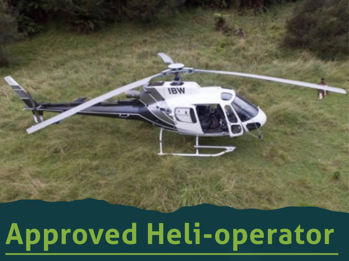 HELI RESOURCES 2